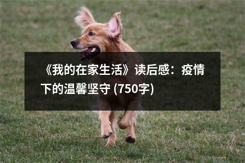 《我的在家生活》讀后感：疫情下的溫馨堅(jiān)守 (750字)