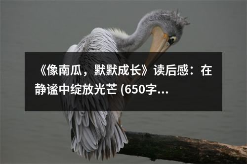 《像南瓜，默默成長(zhǎng)》讀后感：在靜謐中綻放光芒 (650字)