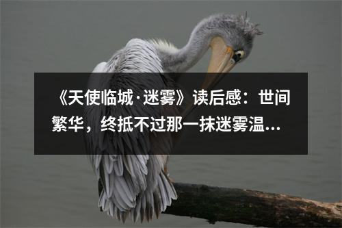 《天使臨城·迷霧》讀后感：世間繁華，終抵不過那一抹迷霧溫情 (650字)