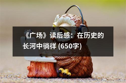 《廣場》讀后感：在歷史的長河中徜徉 (650字)