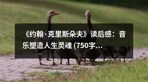 《約翰·克里斯朵夫》讀后感：音樂(lè)塑造人生靈魂 (750字)