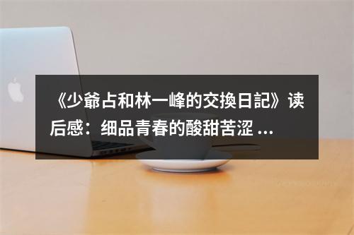 《少爺占和林一峰的交換日記》讀后感：細品青春的酸甜苦澀 (850字)