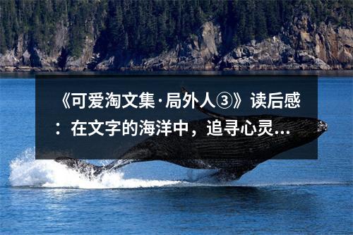 《可愛(ài)淘文集·局外人③》讀后感：在文字的海洋中，追尋心靈的慰藉 (850字)
