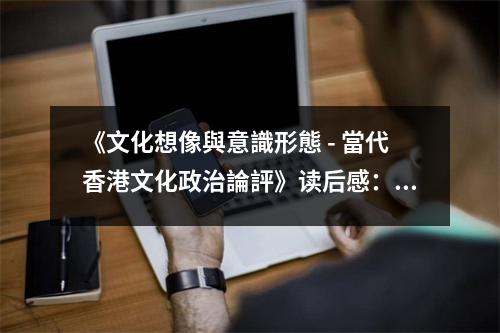 《文化想像與意識(shí)形態(tài) - 當(dāng)代香港文化政治論評(píng)》讀后感：在文化波瀾中探尋香港靈魂的歸宿 (950字)