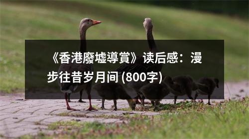《香港廢墟導(dǎo)賞》讀后感：漫步往昔歲月間 (800字)