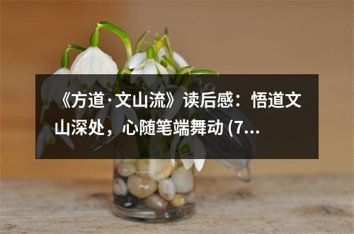 《方道·文山流》讀后感：悟道文山深處，心隨筆端舞動 (750字)