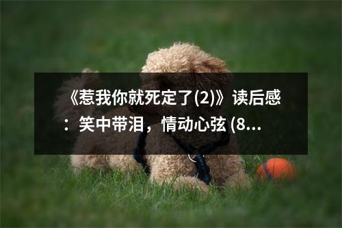 《惹我你就死定了(2)》讀后感：笑中帶淚，情動(dòng)心弦 (850字)