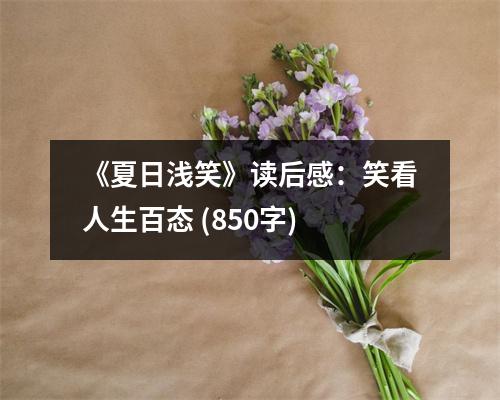 《夏日淺笑》讀后感：笑看人生百態(tài) (850字)