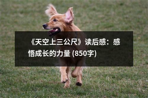 《天空上三公尺》讀后感：感悟成長的力量 (850字)