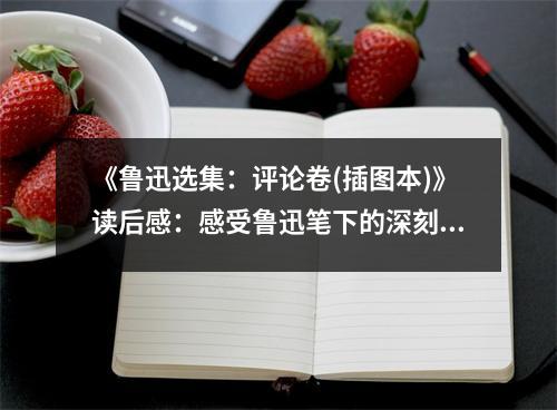 《魯迅選集：評(píng)論卷(插圖本)》讀后感：感受魯迅筆下的深刻人生 (750字)