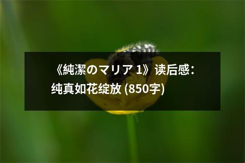 《純潔のマリア 1》讀后感：純真如花綻放 (850字)