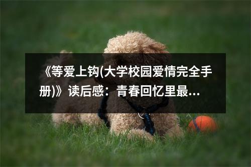 《等愛上鉤(大學(xué)校園愛情完全手冊)》讀后感：青春回憶里最動人的旋律 (950字)