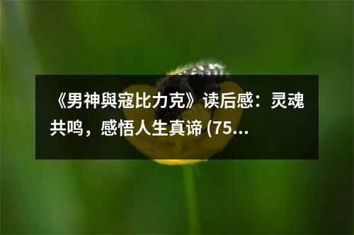 《男神與寇比力克》讀后感：靈魂共鳴，感悟人生真諦 (750字)