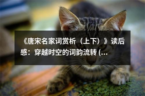 《唐宋名家詞賞析（上下）》讀后感：穿越時(shí)空的詞韻流轉(zhuǎn) (850字)