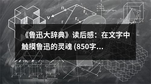 《魯迅大辭典》讀后感：在文字中觸摸魯迅的靈魂 (850字)