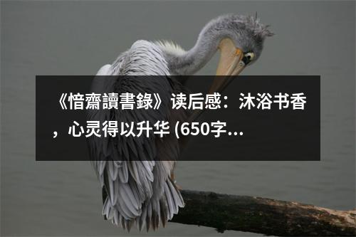 《愔齋讀書錄》讀后感：沐浴書香，心靈得以升華 (650字)