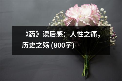 《藥》讀后感：人性之痛，歷史之殤 (800字)