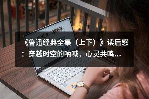 《魯迅經(jīng)典全集（上下）》讀后感：穿越時(shí)空的吶喊，心靈共鳴的火花 (1100字)