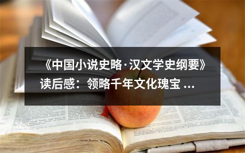 《中國小說史略·漢文學(xué)史綱要》讀后感：領(lǐng)略千年文化瑰寶 (900字)