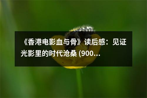《香港電影血與骨》讀后感：見證光影里的時代滄桑 (900字)