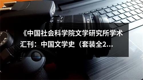 《中國社會(huì)科學(xué)院文學(xué)研究所學(xué)術(shù)匯刊：中國文學(xué)史（套裝全2冊(cè)）》讀后感：穿越千年詩意濃 (850字)