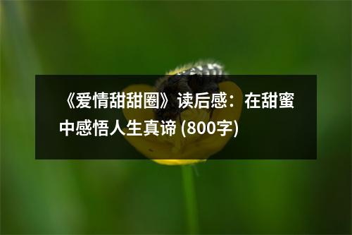 《愛情甜甜圈》讀后感：在甜蜜中感悟人生真諦 (800字)
