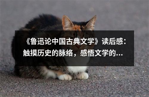 《魯迅論中國古典文學(xué)》讀后感：觸摸歷史的脈絡(luò)，感悟文學(xué)的靈魂 (1100字)