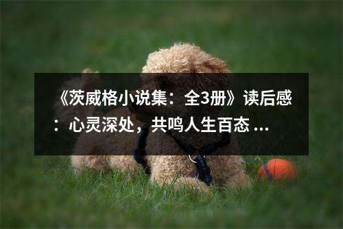 《茨威格小說集：全3冊》讀后感：心靈深處，共鳴人生百態(tài) (900字)