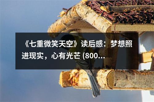 《七重微笑天空》讀后感：夢想照進現(xiàn)實，心有光芒 (800字)