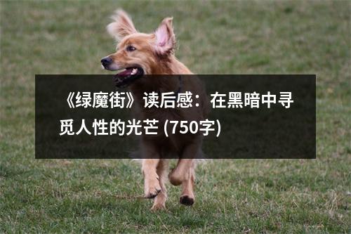 《綠魔街》讀后感：在黑暗中尋覓人性的光芒 (750字)