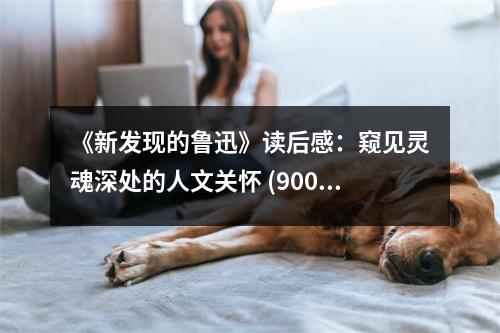 《新發(fā)現(xiàn)的魯迅》讀后感：窺見(jiàn)靈魂深處的人文關(guān)懷 (900字)
