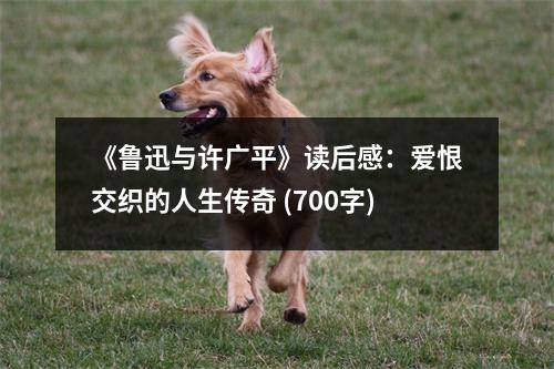 《魯迅與許廣平》讀后感：愛(ài)恨交織的人生傳奇 (700字)