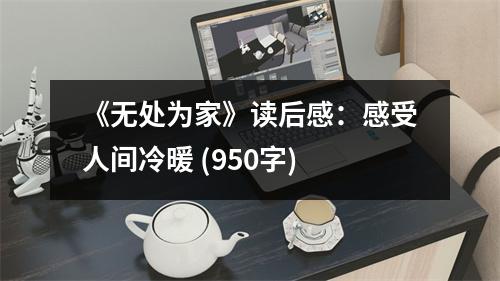《無(wú)處為家》讀后感：感受人間冷暖 (950字)