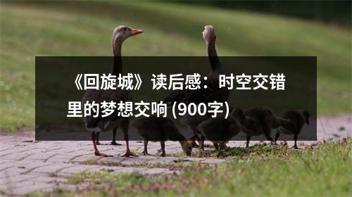 《回旋城》讀后感：時空交錯里的夢想交響 (900字)