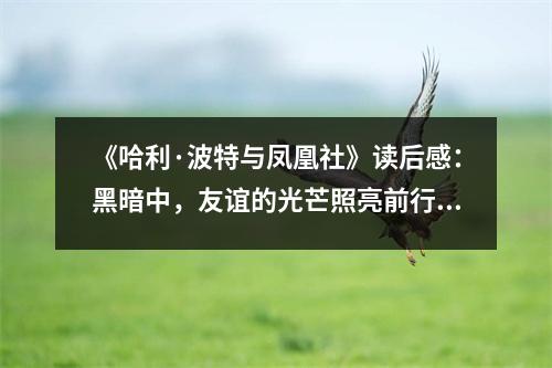 《哈利·波特與鳳凰社》讀后感：黑暗中，友誼的光芒照亮前行之路 (750字)