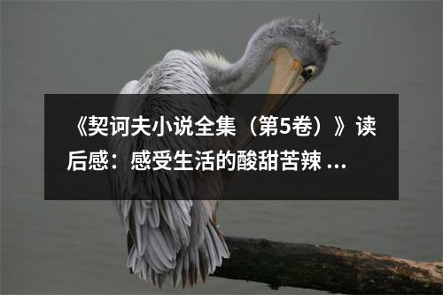 《契訶夫小說(shuō)全集（第5卷）》讀后感：感受生活的酸甜苦辣 (700字)