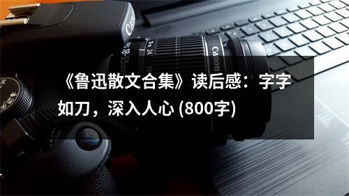 《魯迅散文合集》讀后感：字字如刀，深入人心 (800字)