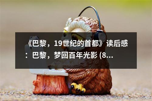 《巴黎，19世紀(jì)的首都》讀后感：巴黎，夢(mèng)回百年光影 (850字)