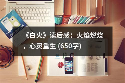 《白火》讀后感：火焰燃燒，心靈重生 (650字)