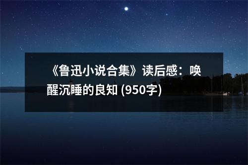 《魯迅小說合集》讀后感：喚醒沉睡的良知 (950字)