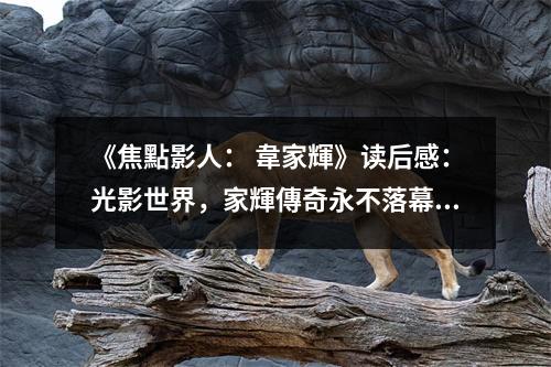 《焦點影人： 韋家輝》讀后感：光影世界，家輝傳奇永不落幕 (800字)