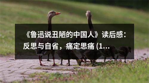 《魯迅說丑陋的中國人》讀后感：反思與自省，痛定思痛 (1250字)