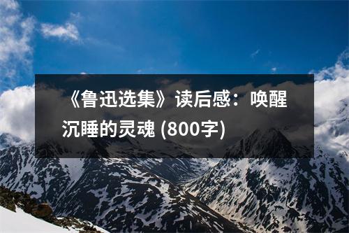 《魯迅選集》讀后感：喚醒沉睡的靈魂 (800字)