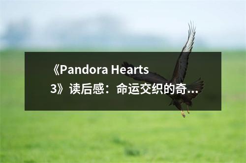 《Pandora Hearts 3》讀后感：命運(yùn)交織的奇幻旅程 (700字)