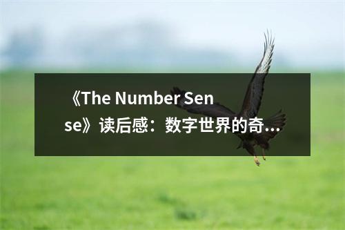 《The Number Sense》讀后感：數字世界的奇妙探險 (850字)
