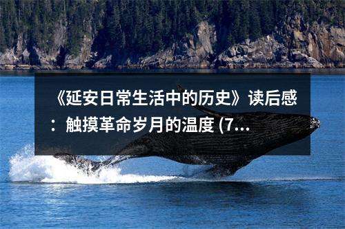 《延安日常生活中的歷史》讀后感：觸摸革命歲月的溫度 (750字)