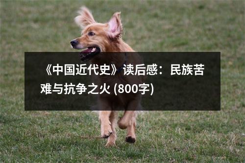 《中國近代史》讀后感：民族苦難與抗爭之火 (800字)