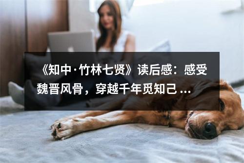 《知中·竹林七賢》讀后感：感受魏晉風(fēng)骨，穿越千年覓知己 (1000字)