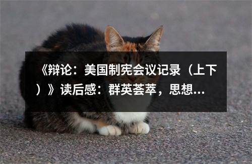 《辯論：美國制憲會議記錄（上下）》讀后感：群英薈萃，思想火花碰撞 (850字)
