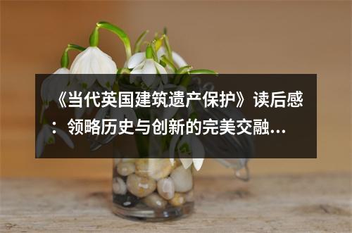 《當代英國建筑遺產(chǎn)保護》讀后感：領(lǐng)略歷史與創(chuàng)新的完美交融 (1000字)